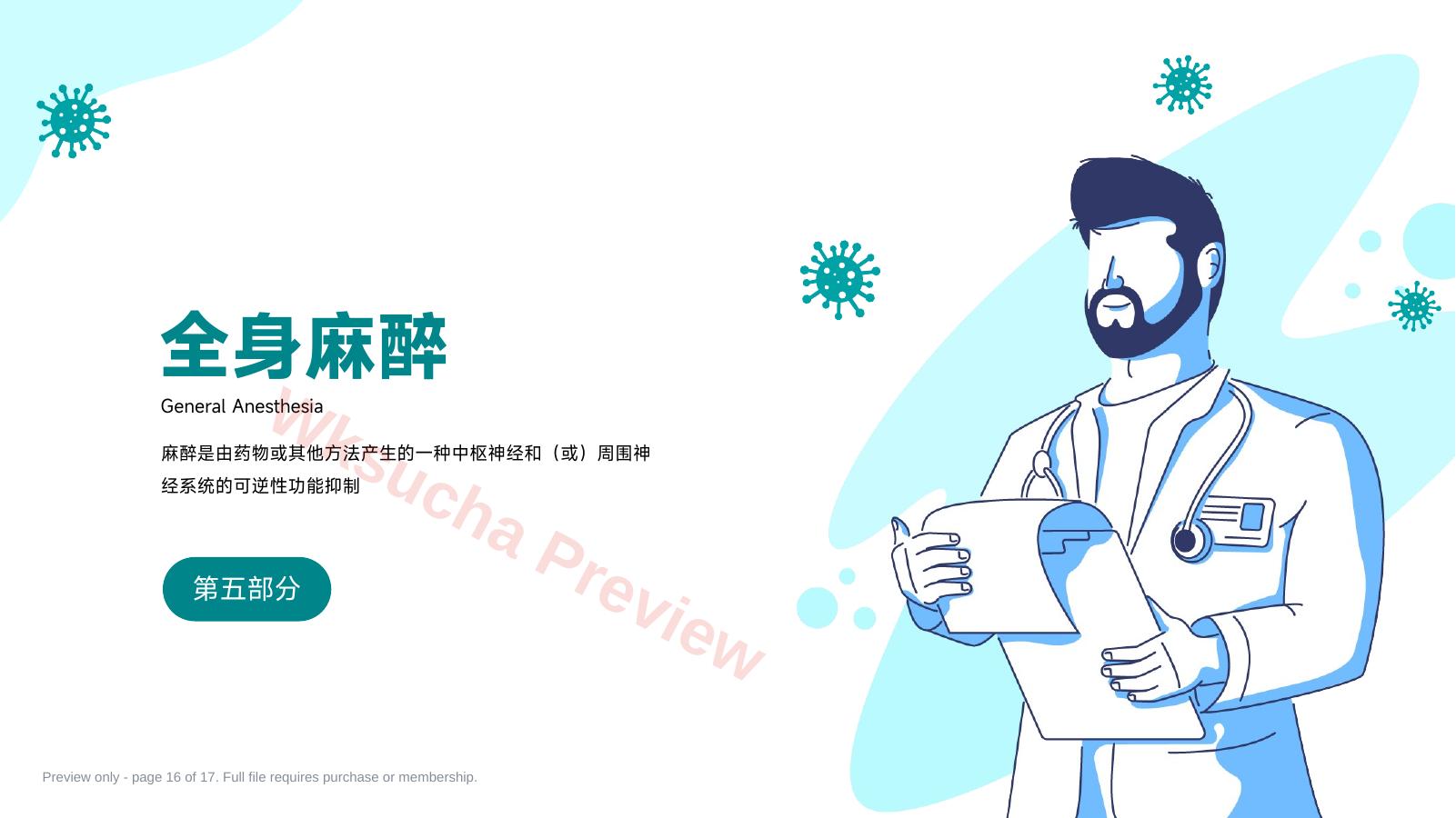 预览第 16 页