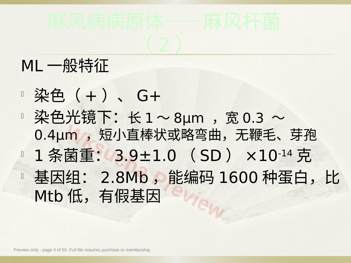 预览第 4 页