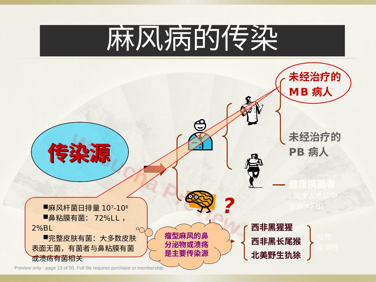 预览第 13 页
