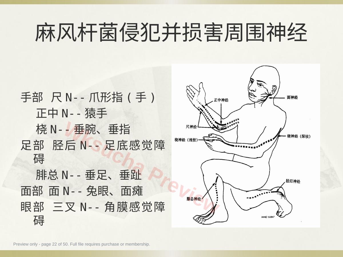 预览第 22 页