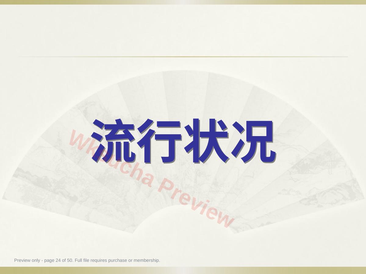 预览第 24 页