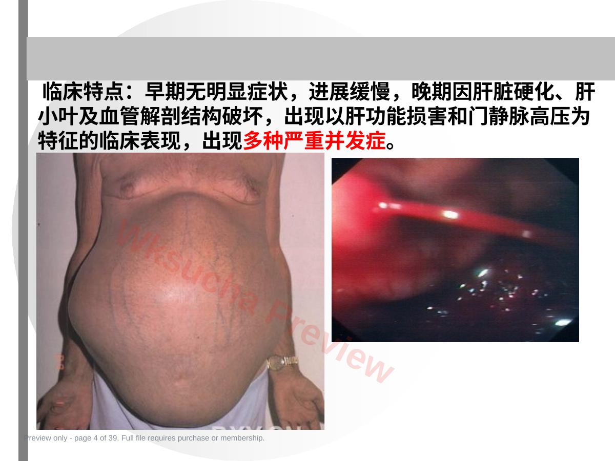 预览第 4 页