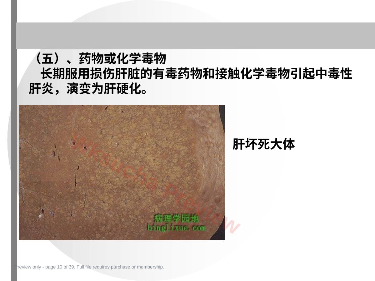 预览第 10 页