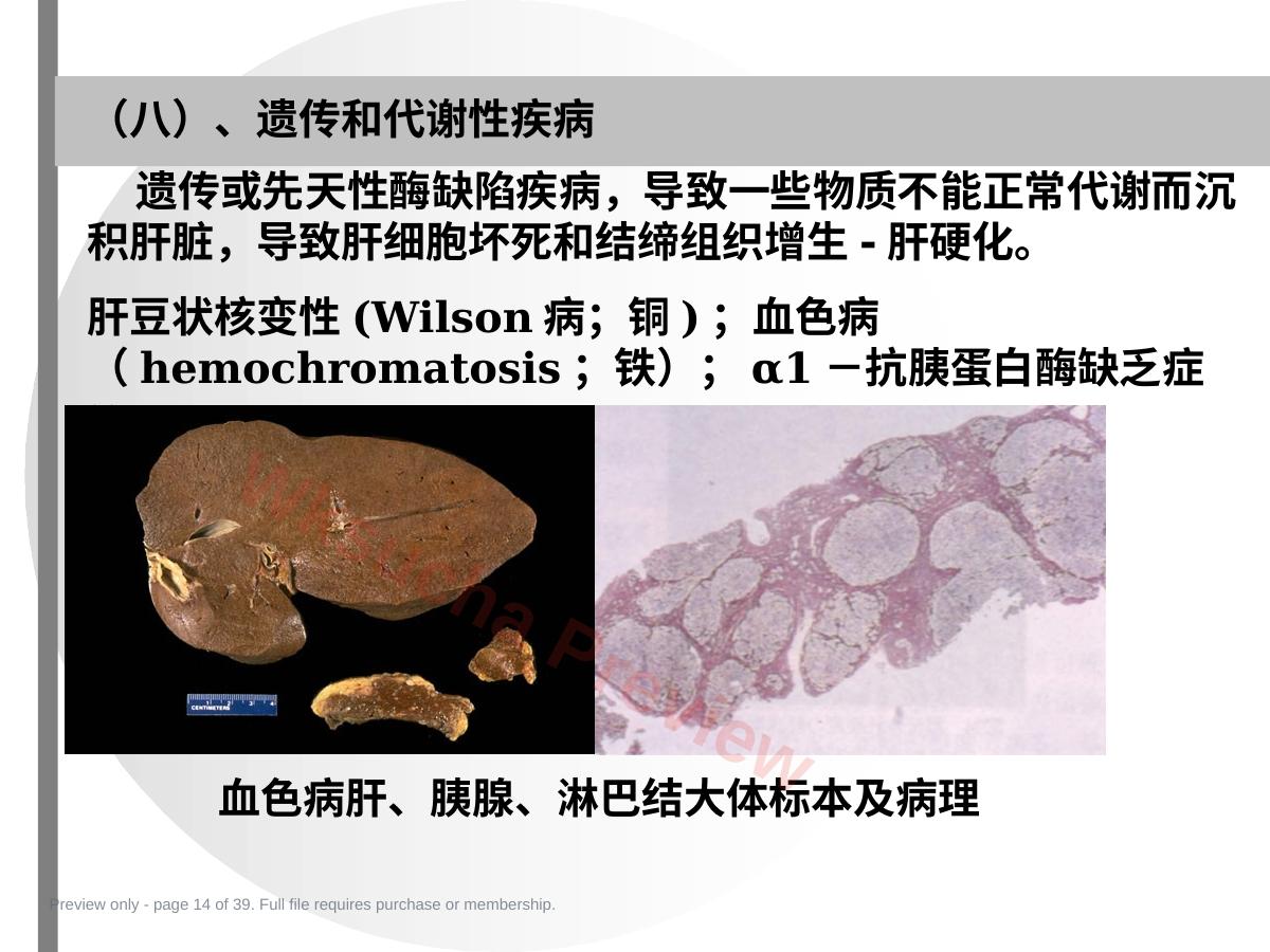 预览第 14 页