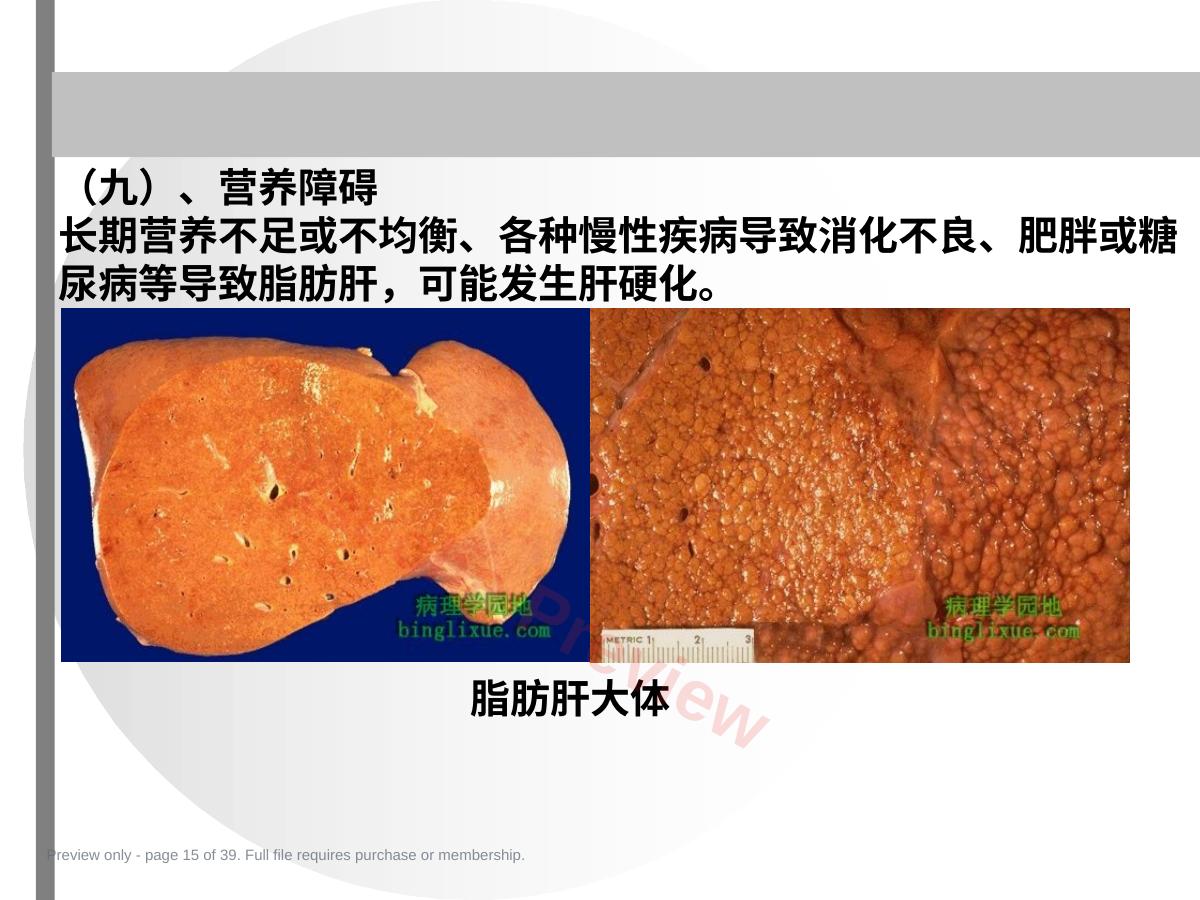 预览第 15 页