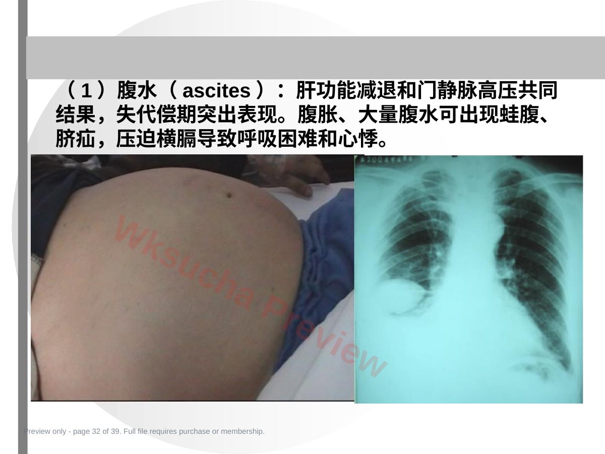 预览第 32 页