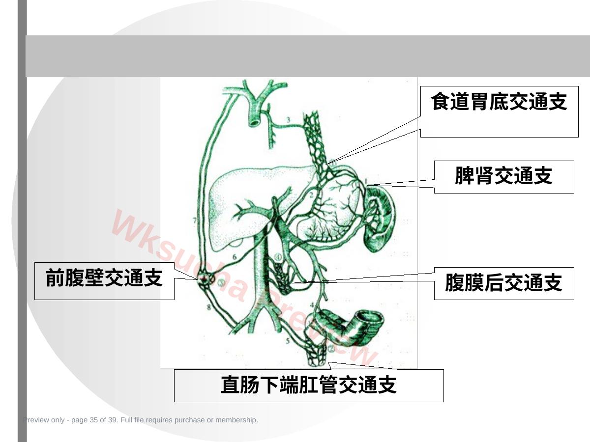 预览第 35 页