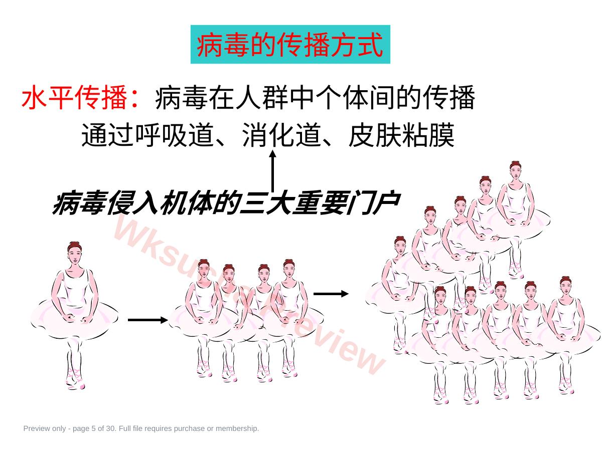 预览第 5 页