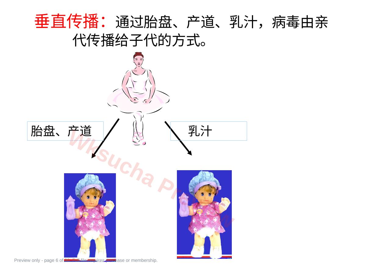 预览第 6 页