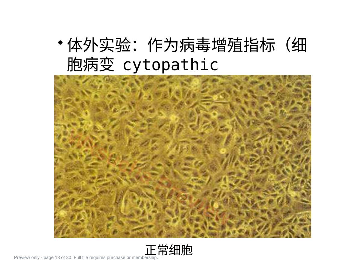 预览第 13 页