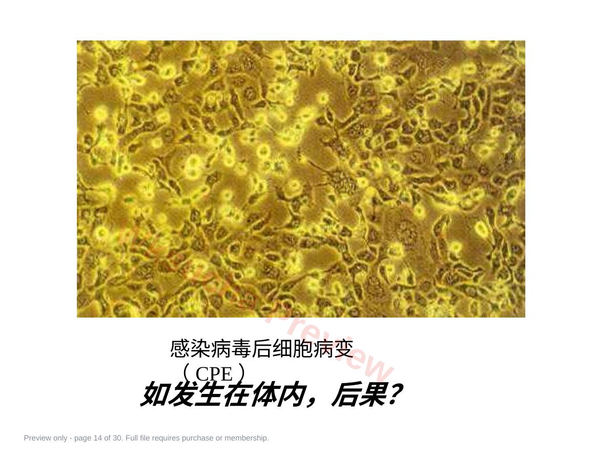 预览第 14 页