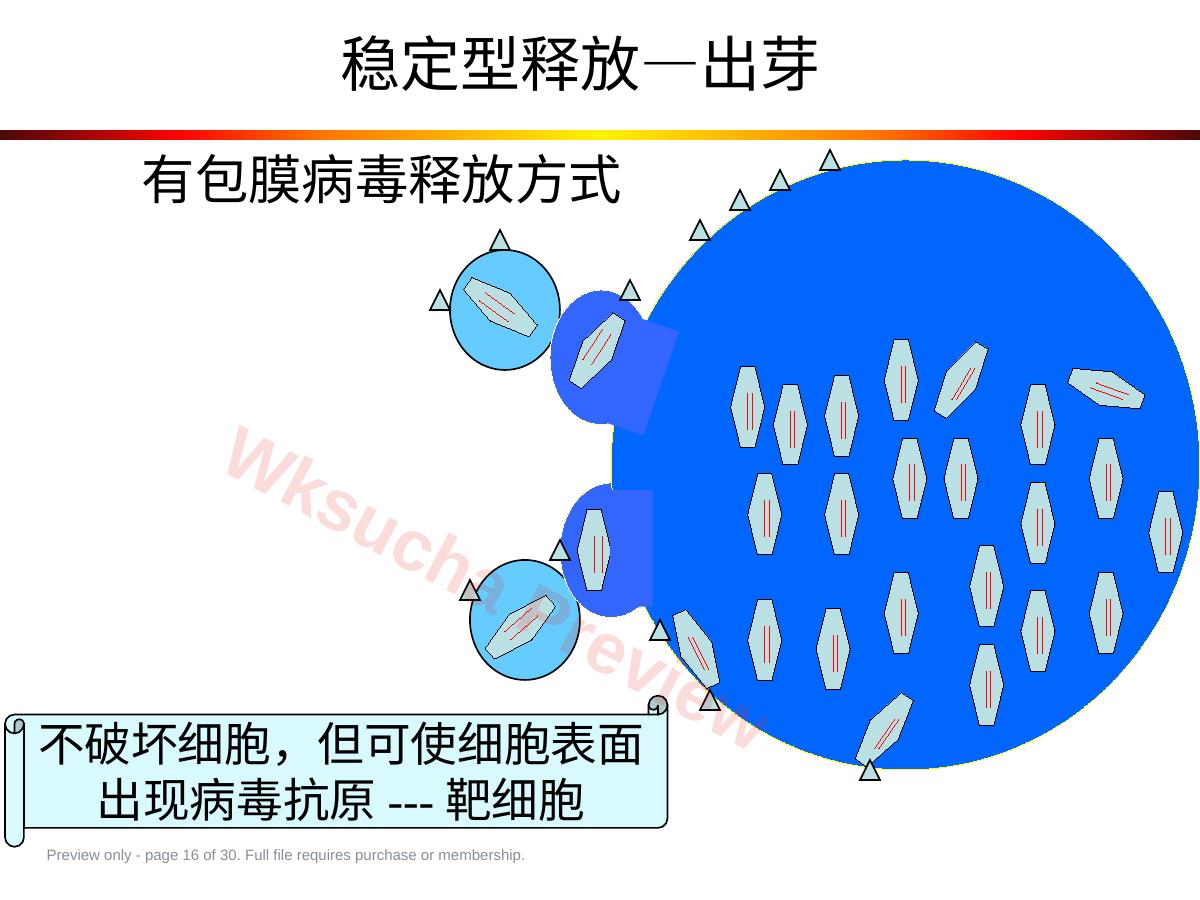 预览第 16 页