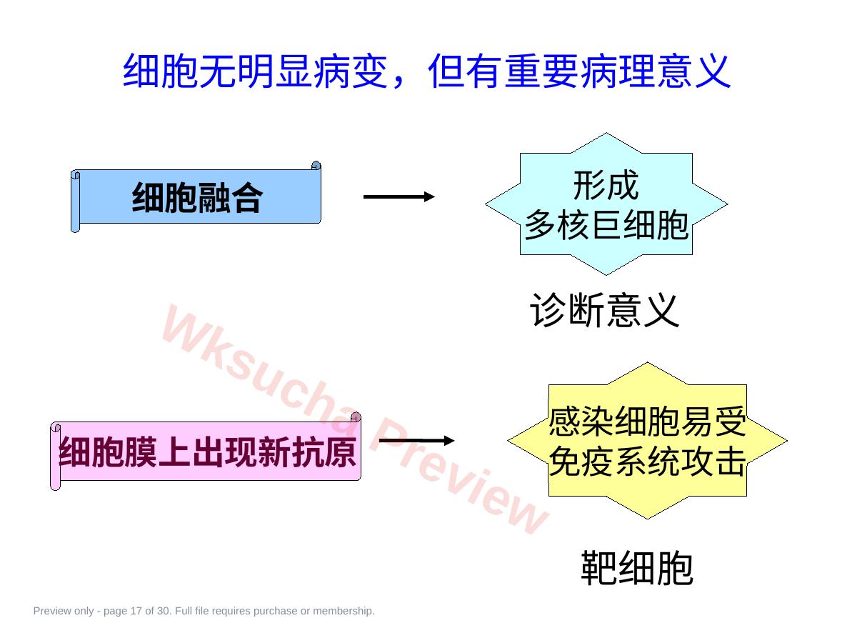 预览第 17 页