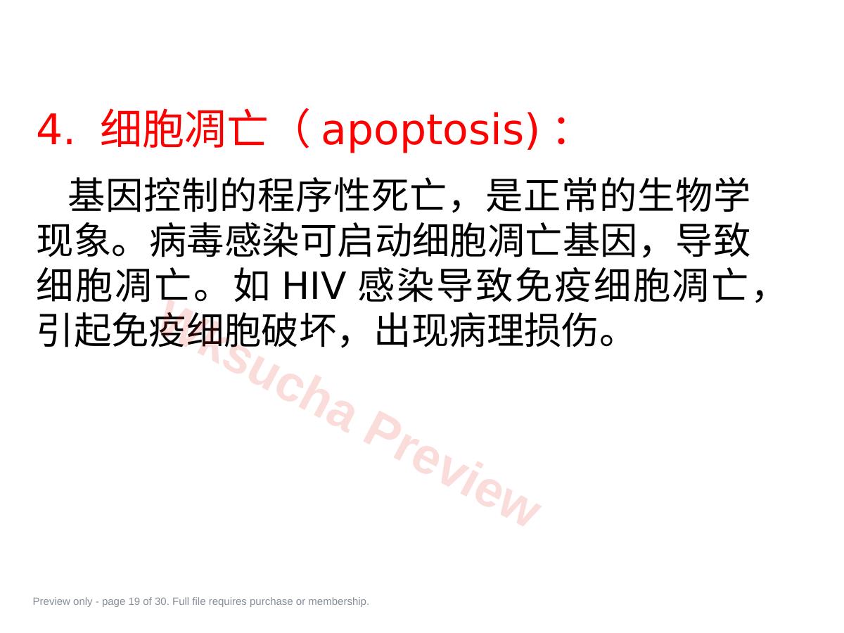 预览第 19 页