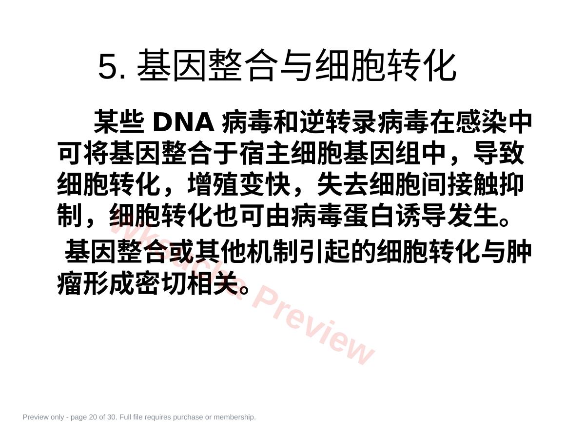 预览第 20 页
