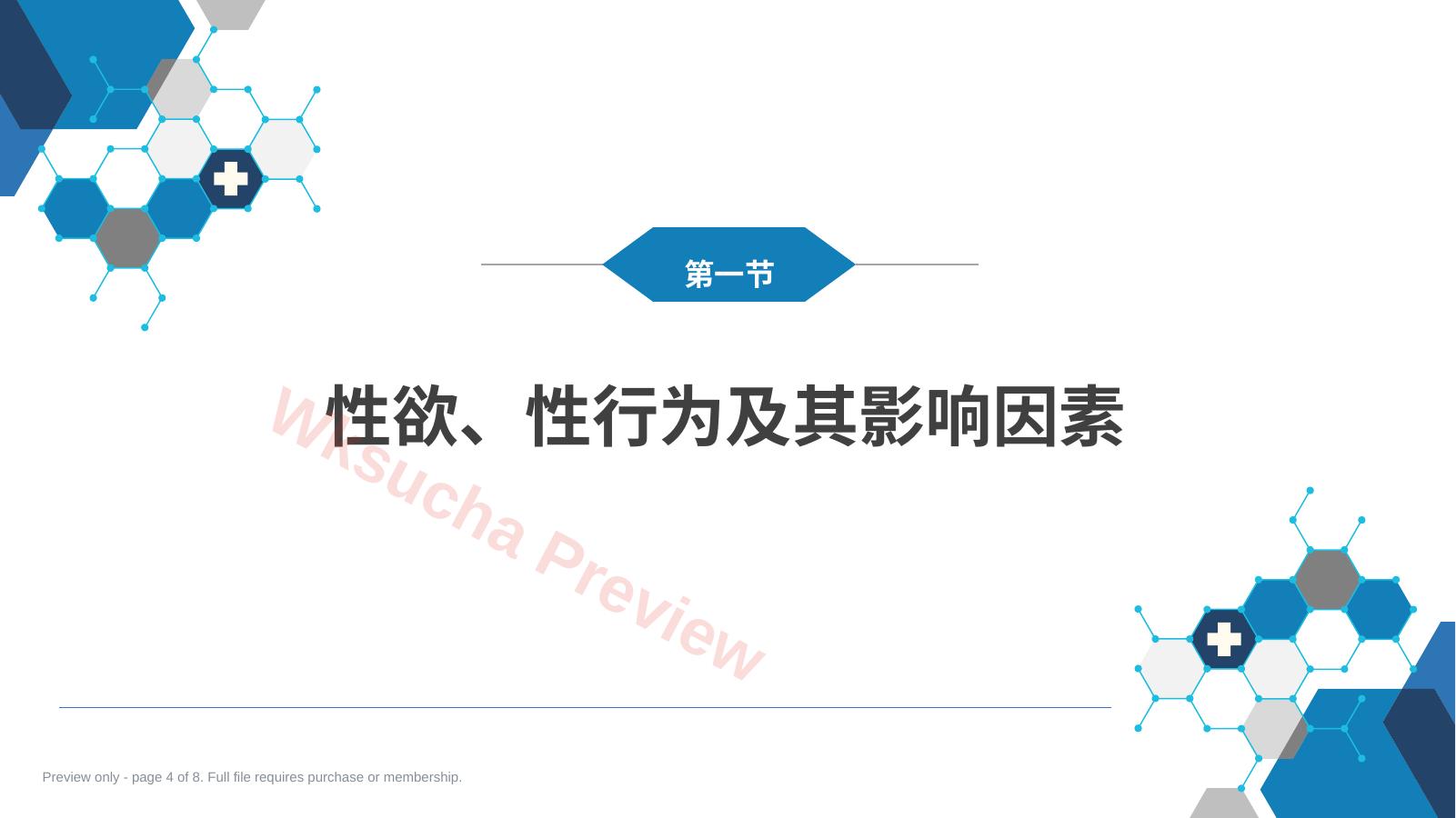 预览第 4 页