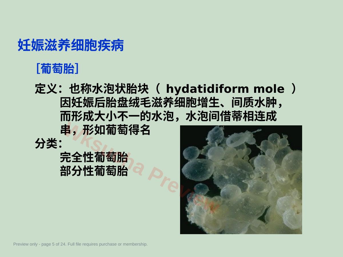 预览第 5 页