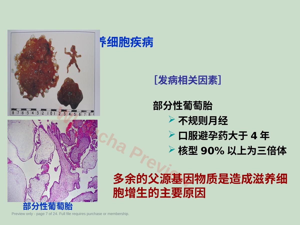 预览第 7 页