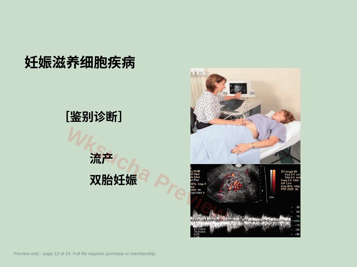 预览第 13 页
