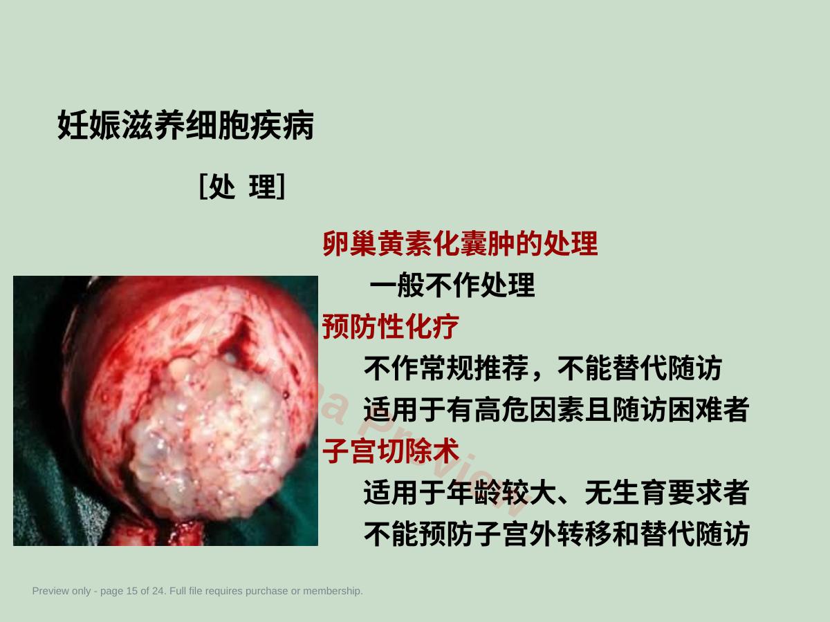 预览第 15 页