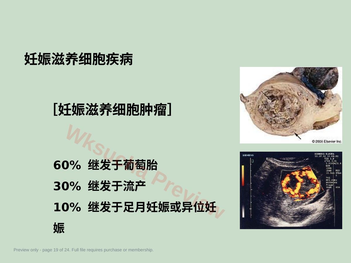 预览第 19 页
