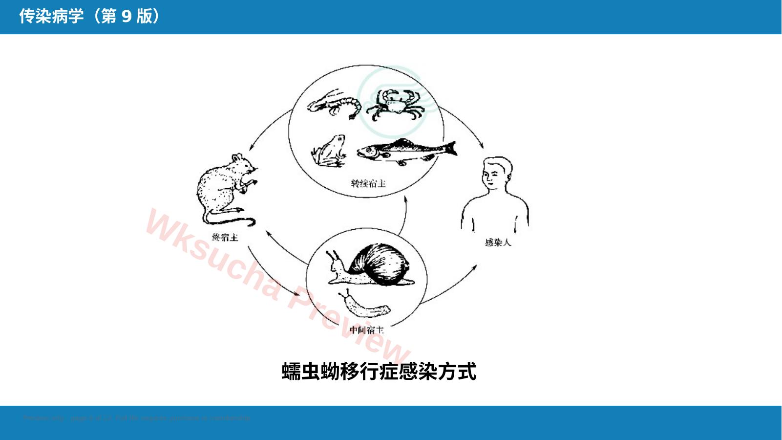 预览第 6 页
