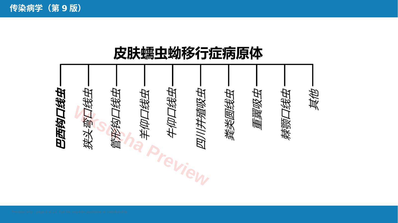 预览第 8 页