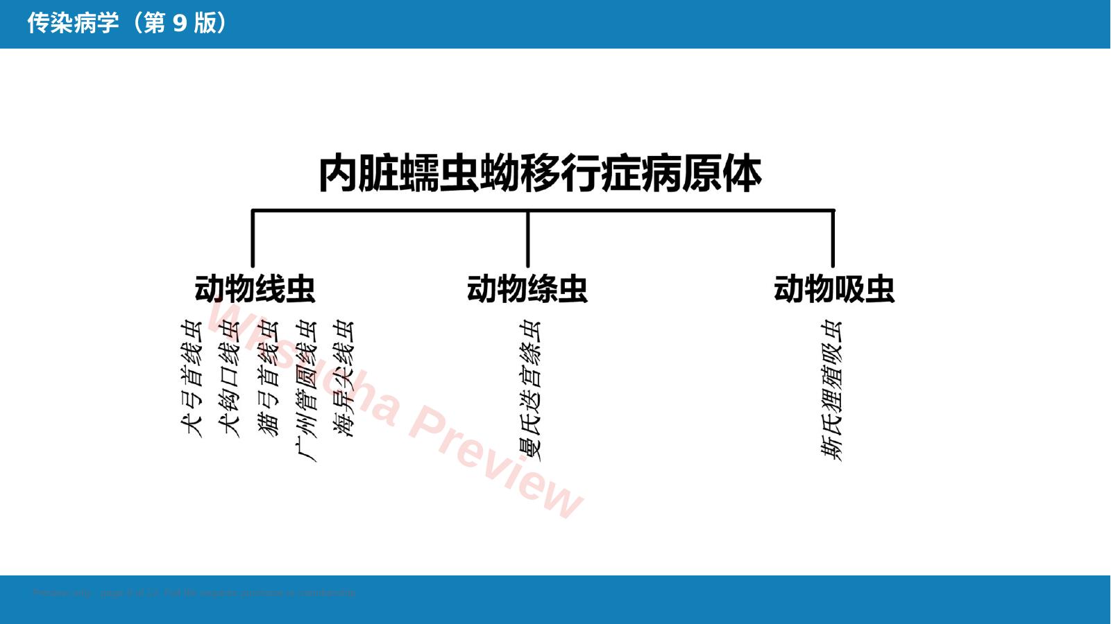 预览第 9 页