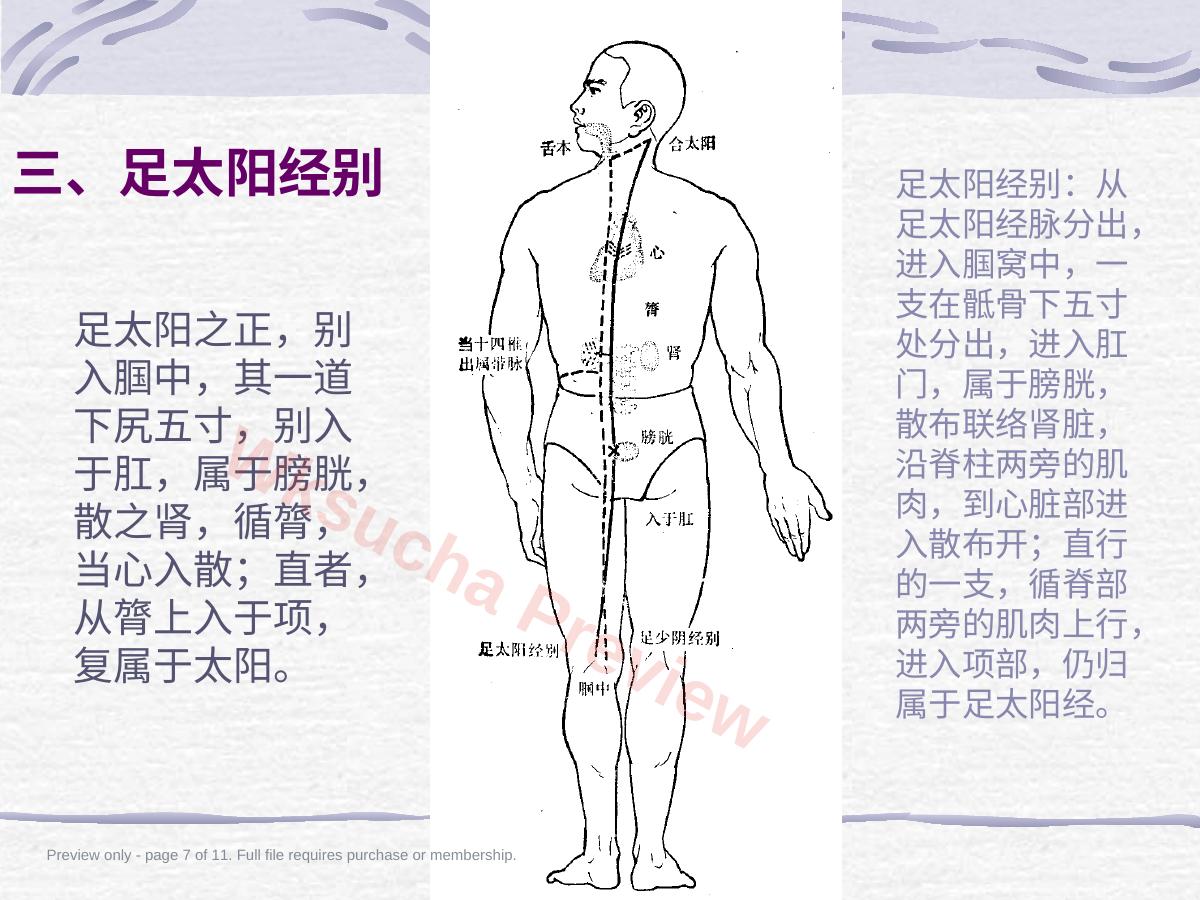 预览第 7 页