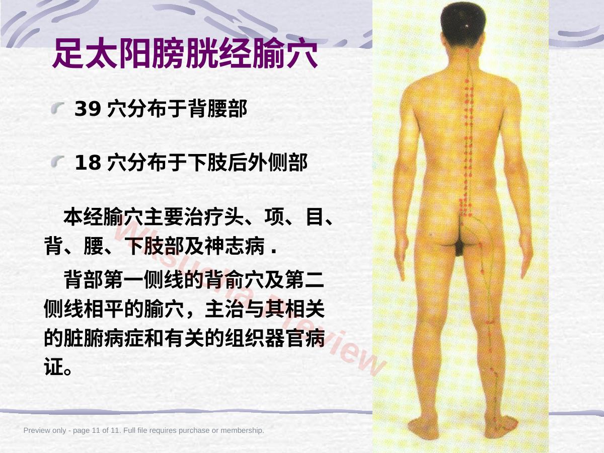 预览第 11 页