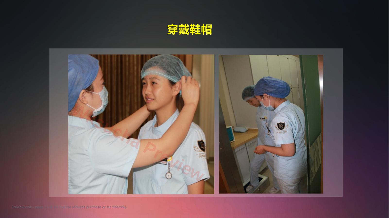 预览第 11 页