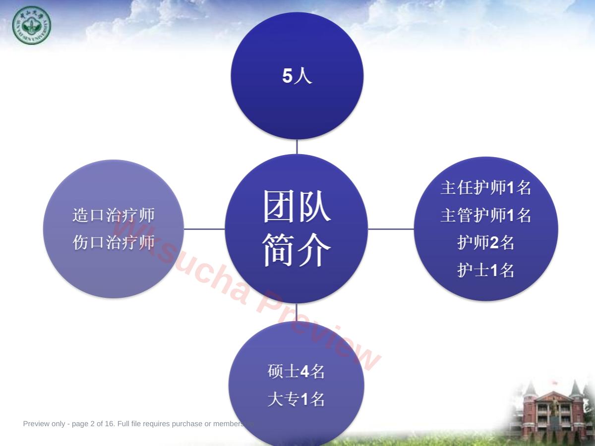 预览第 2 页