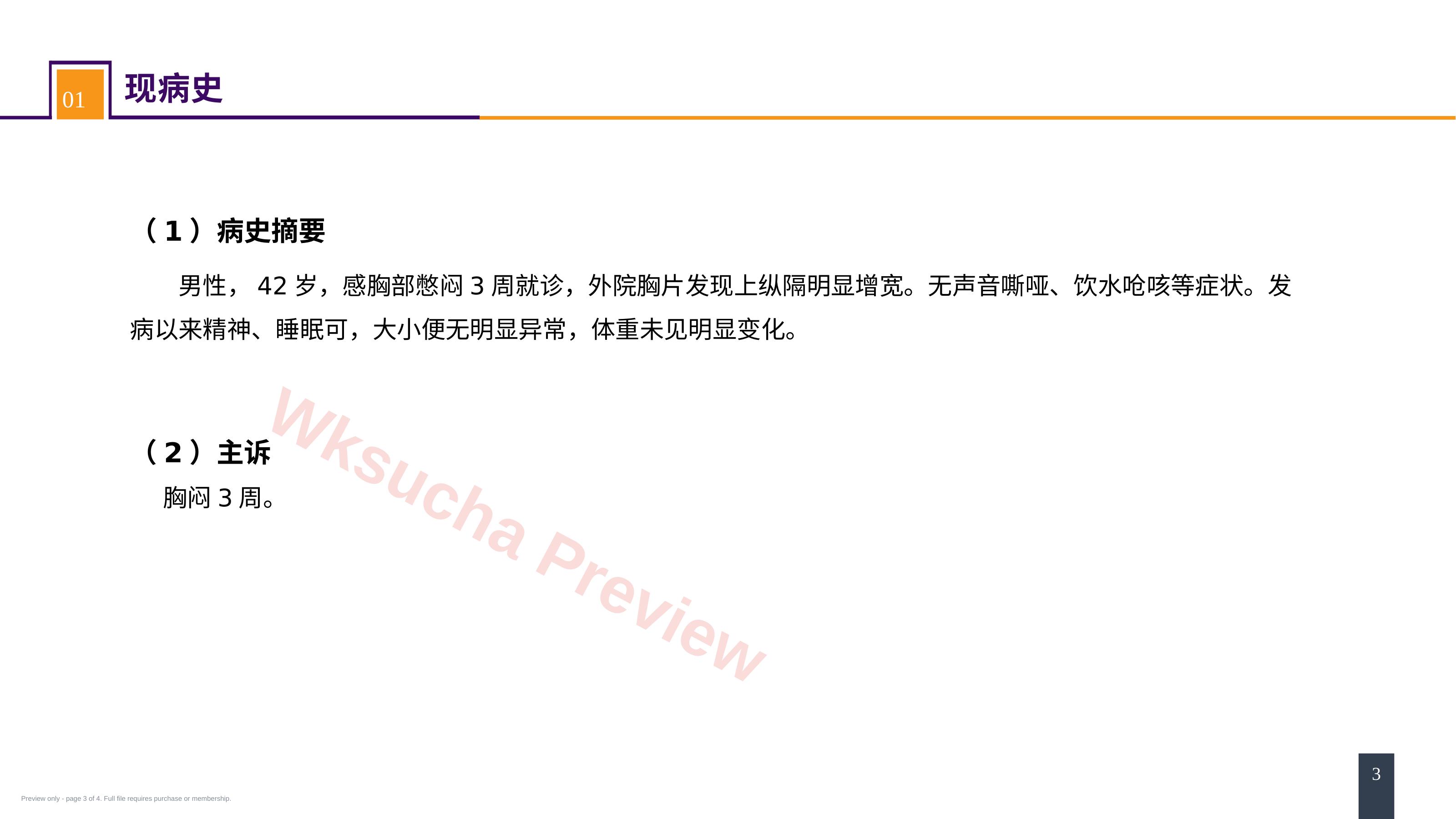 预览第 3 页