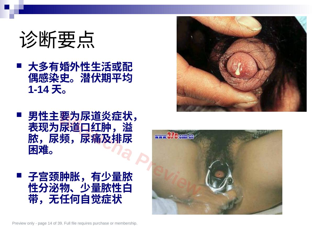 预览第 14 页