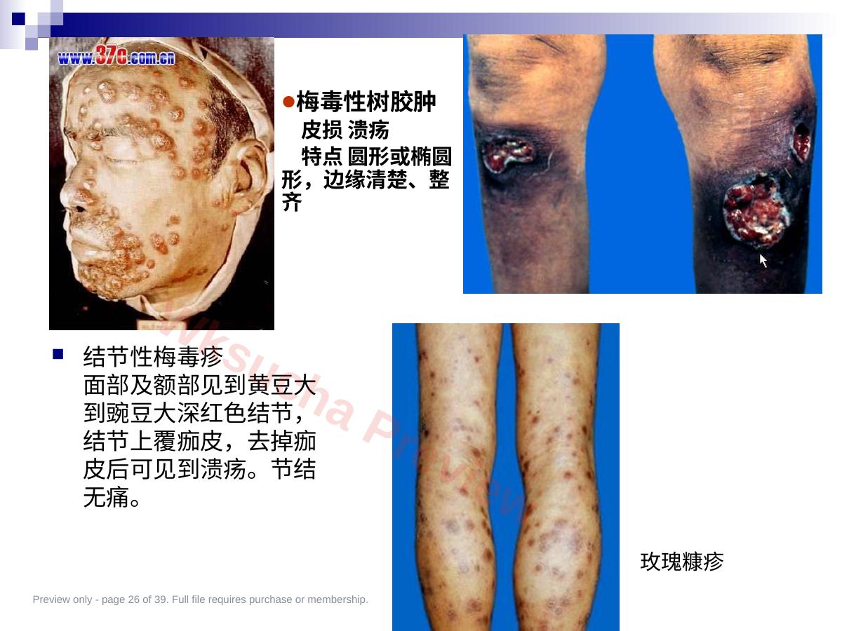 预览第 26 页