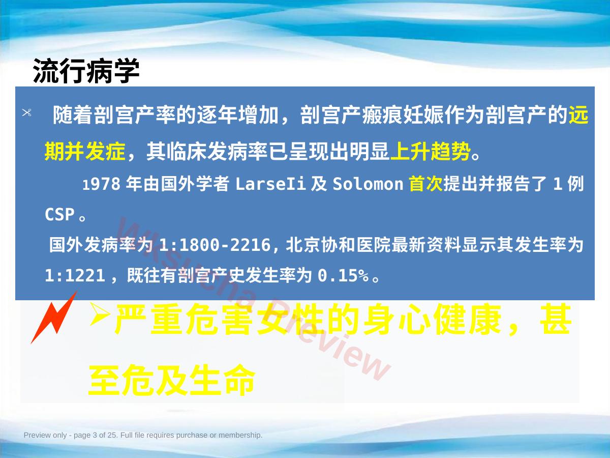 预览第 3 页