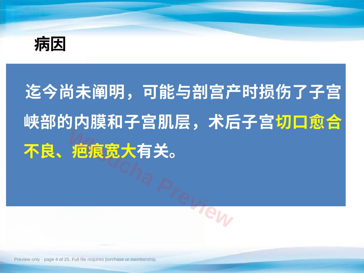 预览第 4 页