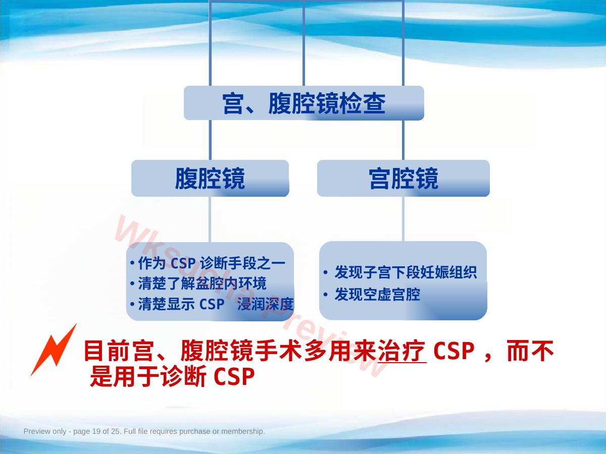 预览第 19 页