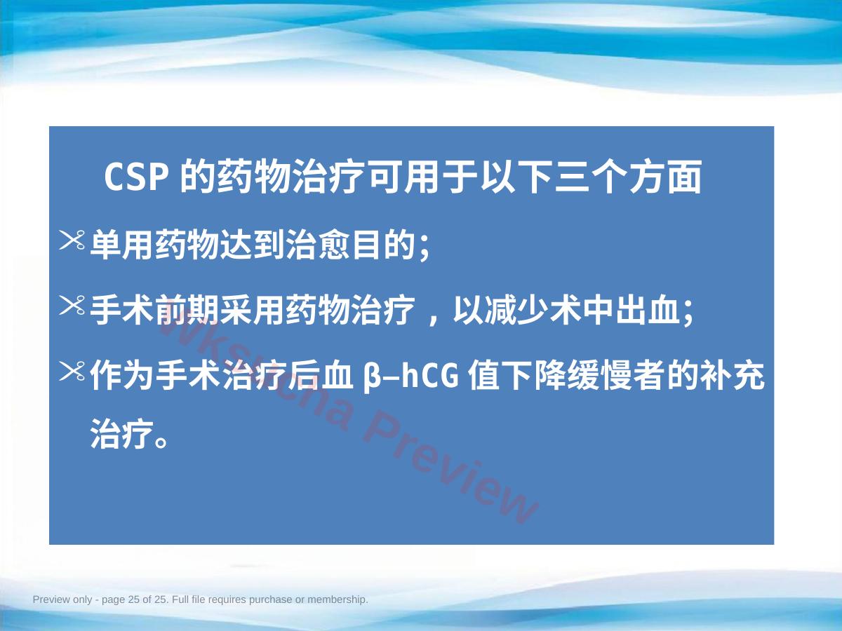 预览第 25 页