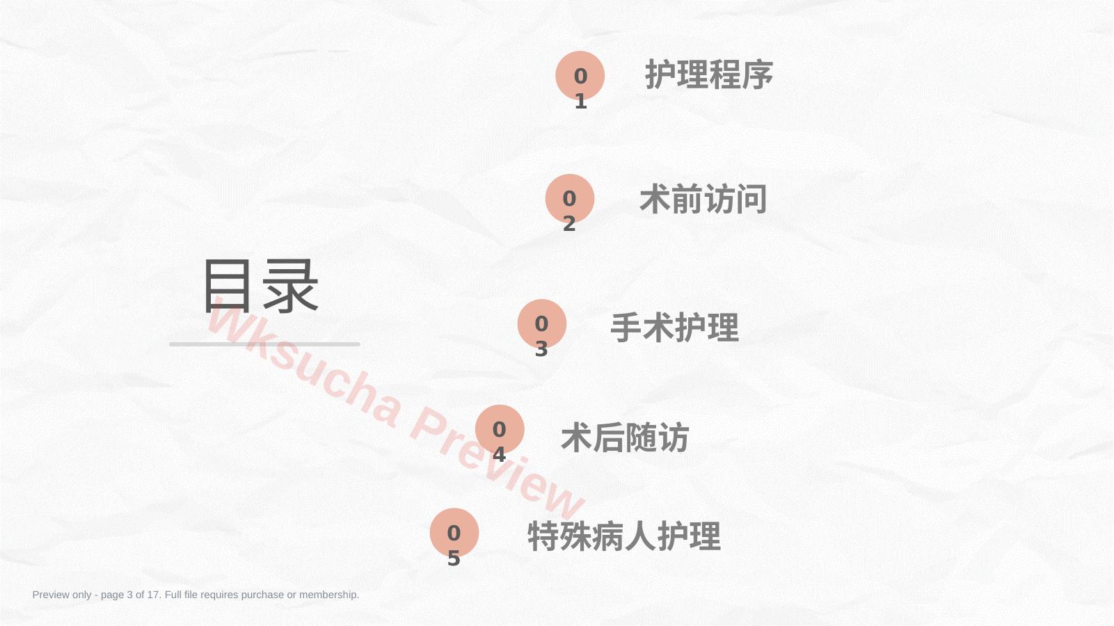预览第 3 页