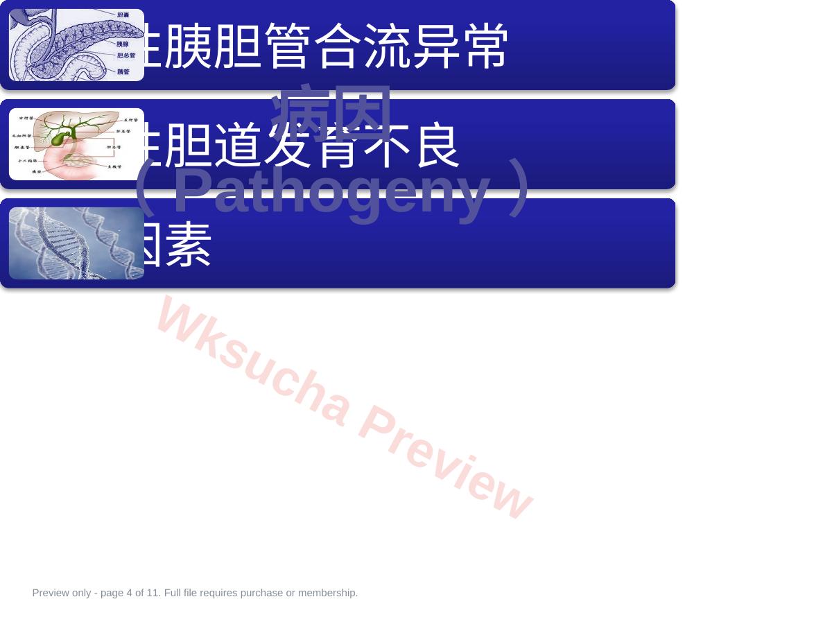 预览第 4 页