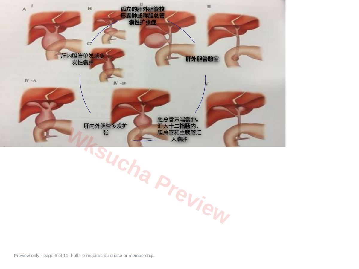 预览第 6 页
