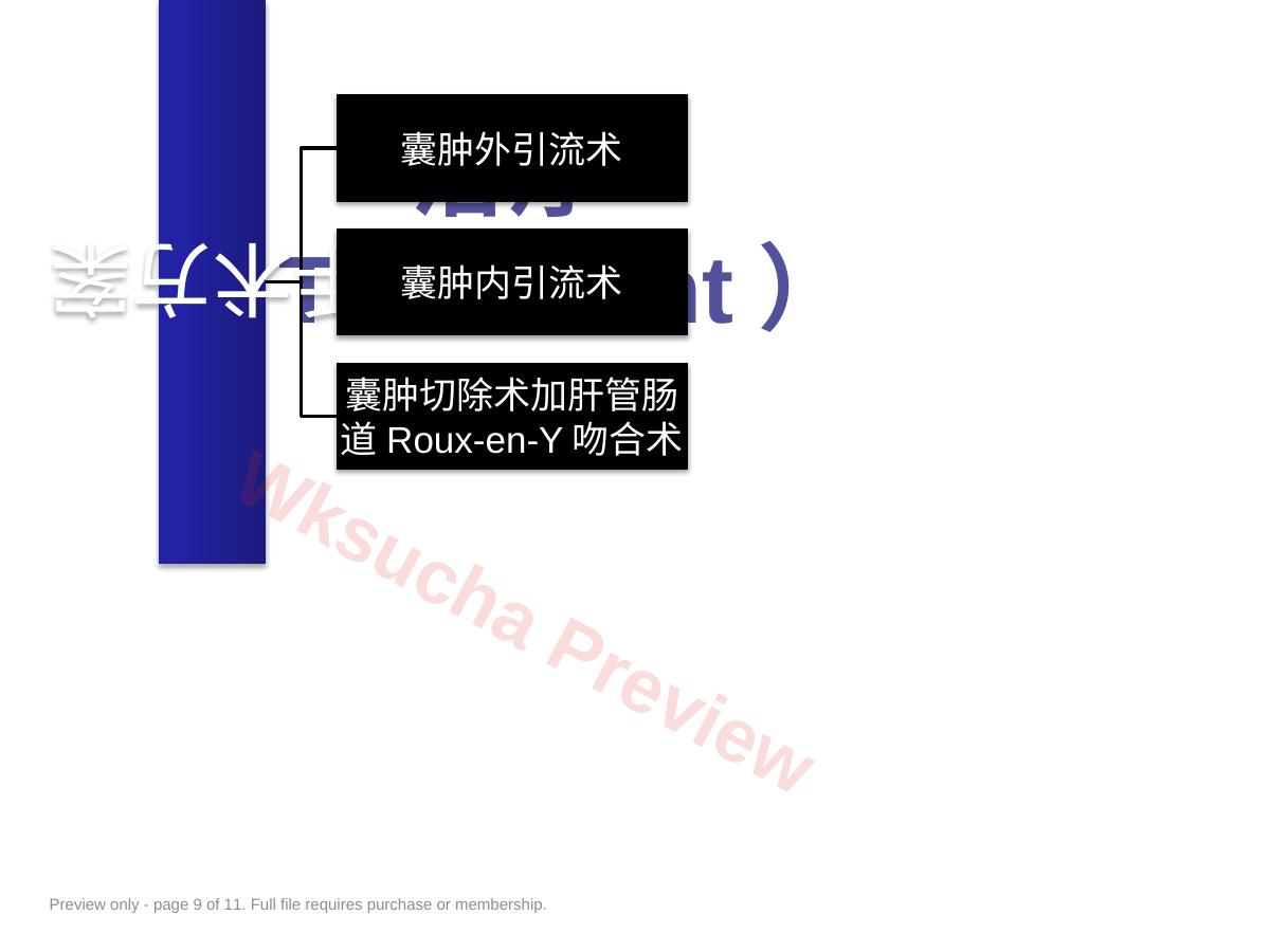 预览第 9 页