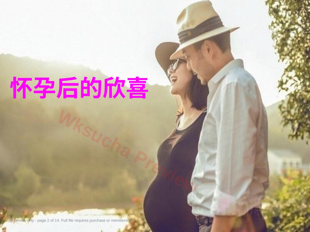 预览第 2 页