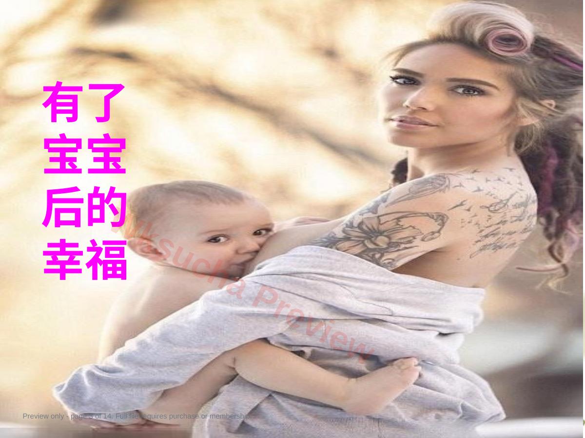 预览第 3 页