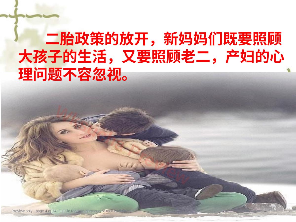 预览第 4 页