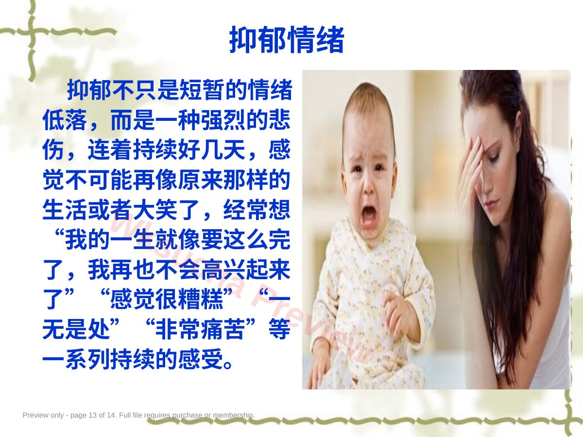 预览第 13 页