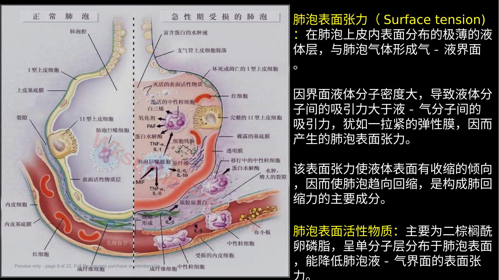 预览第 9 页