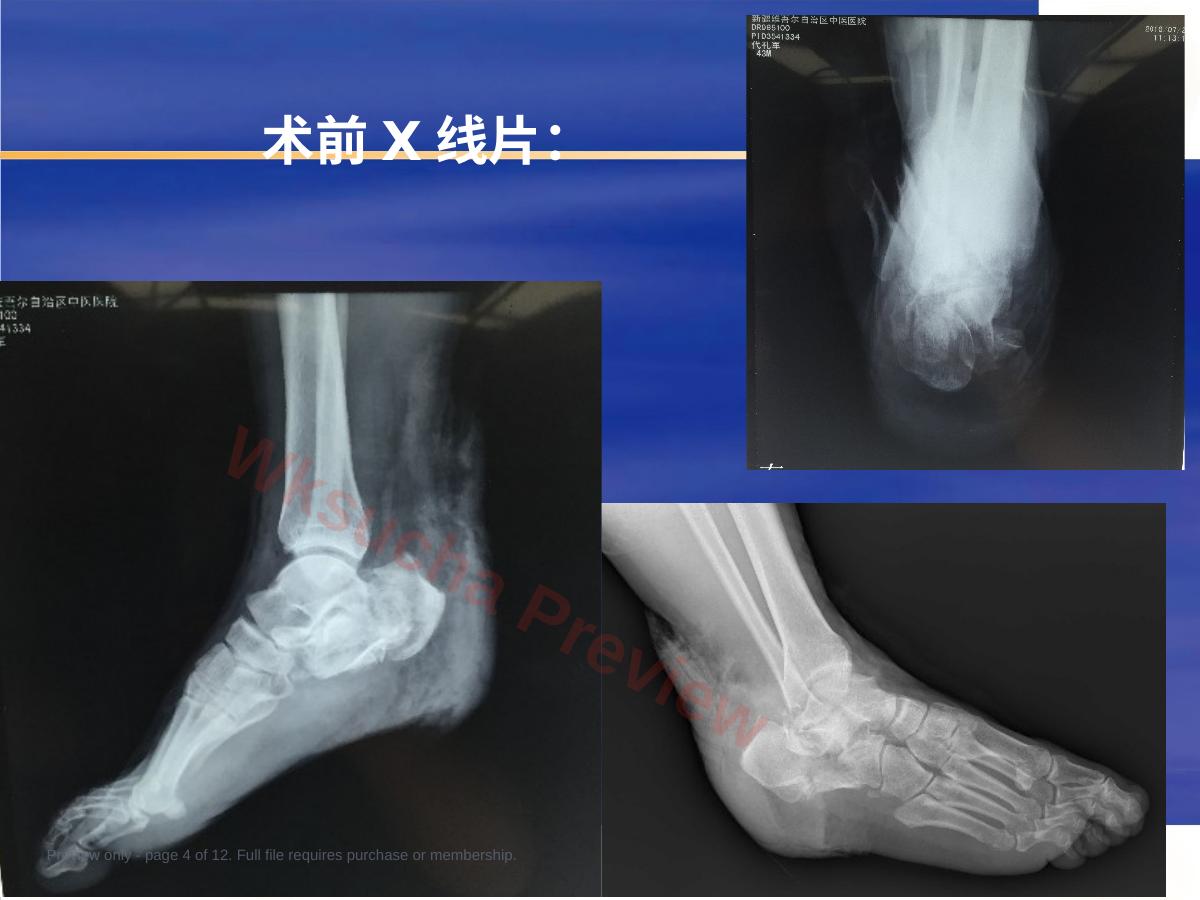 预览第 4 页
