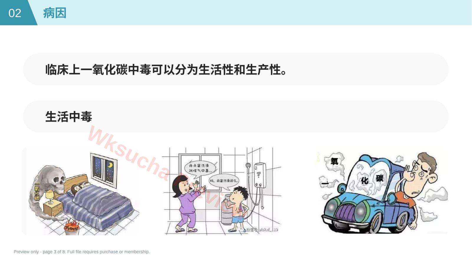 预览第 3 页